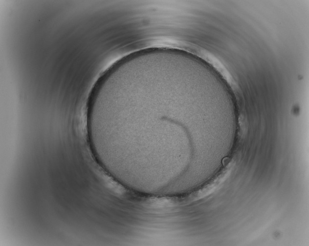 X0000102400931200808151940