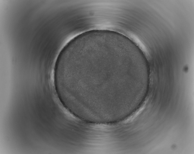 X0000102400932200808151940