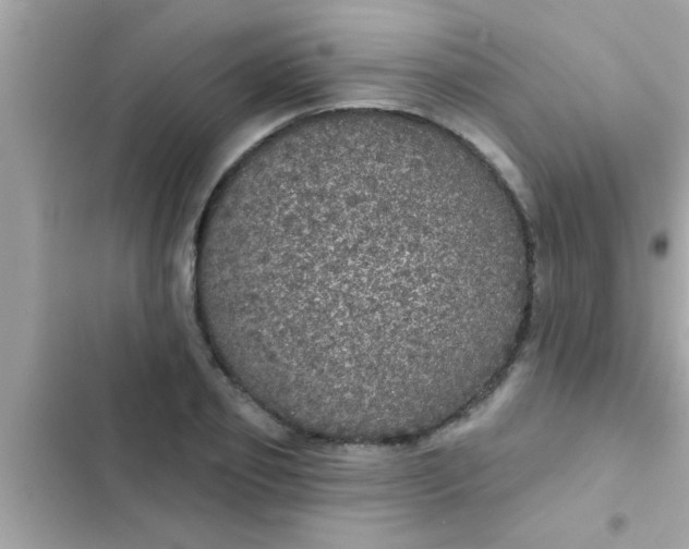 X0000102400933200808151940