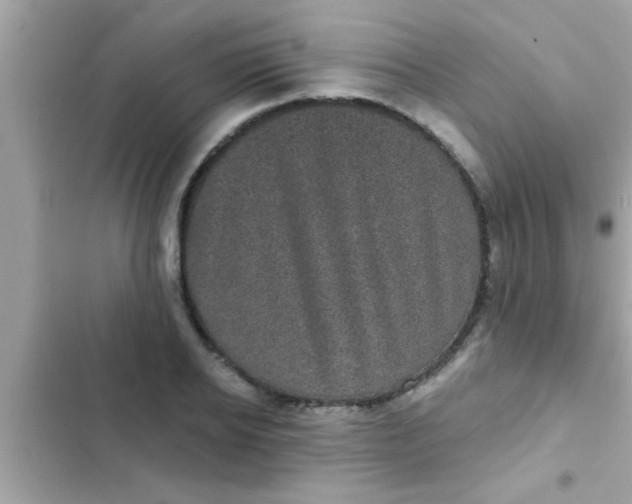 X0000102400934200808151940