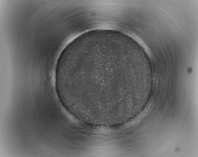 X0000102400935200808151940