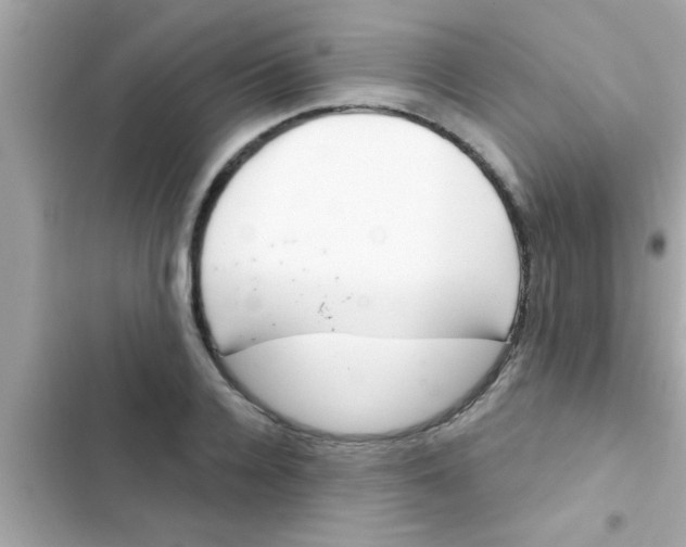 X0000102400936200808151940