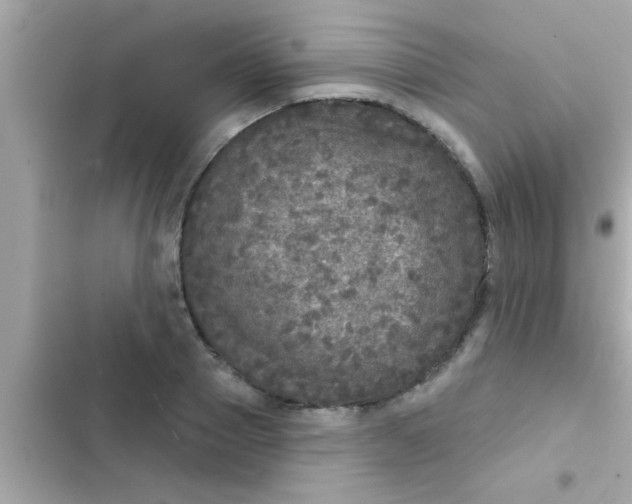 X0000102400937200808151940