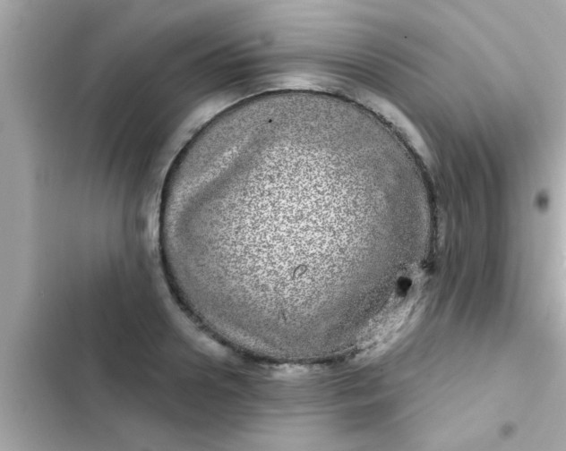 X0000102400938200808151940