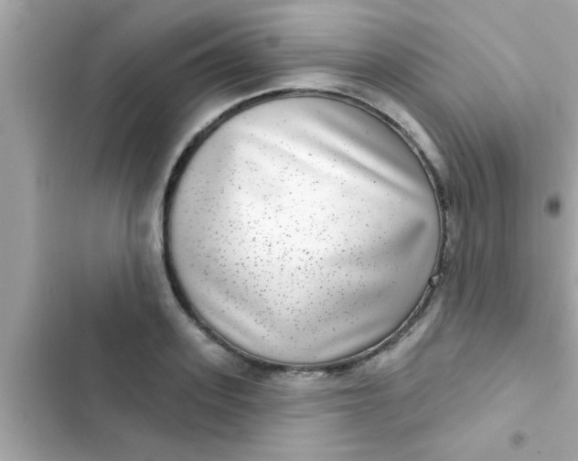 X0000102400939200808151940