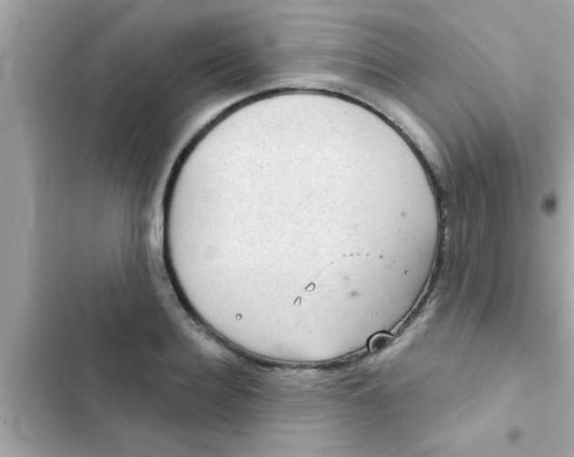 X0000102400940200808151940