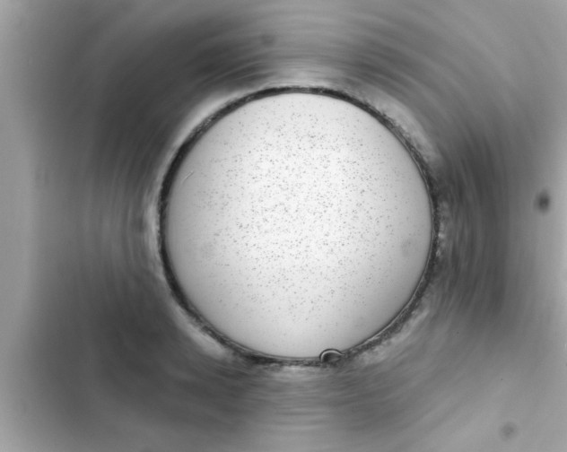 X0000102400942200808151940