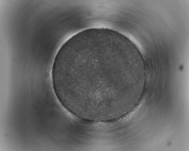 X0000102400943200808151940