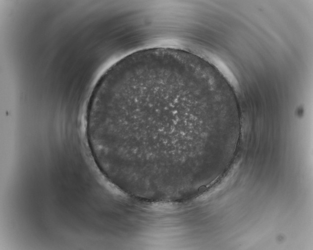 X0000102400944200808151940