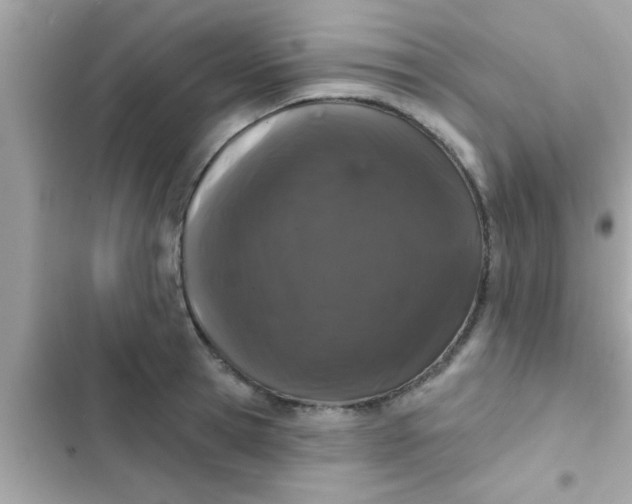 X0000102400945200808151940