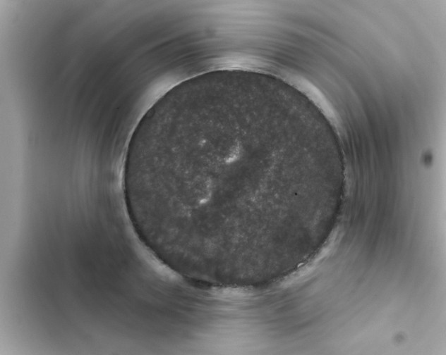 X0000102400946200808151940