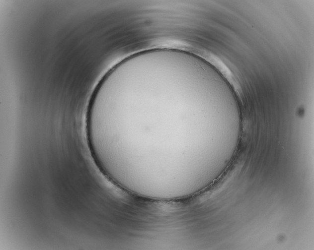 X0000102400947200808151940