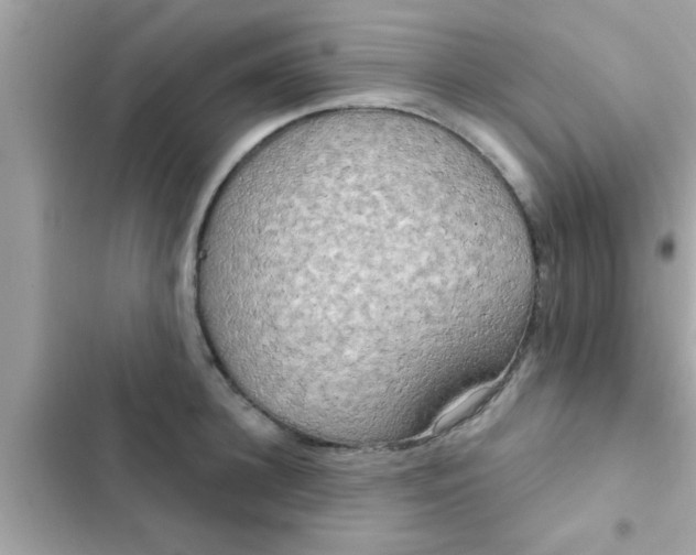 X0000102400948200808151940