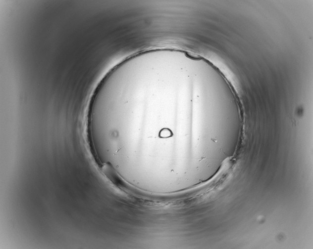 X0000102400949200808151940