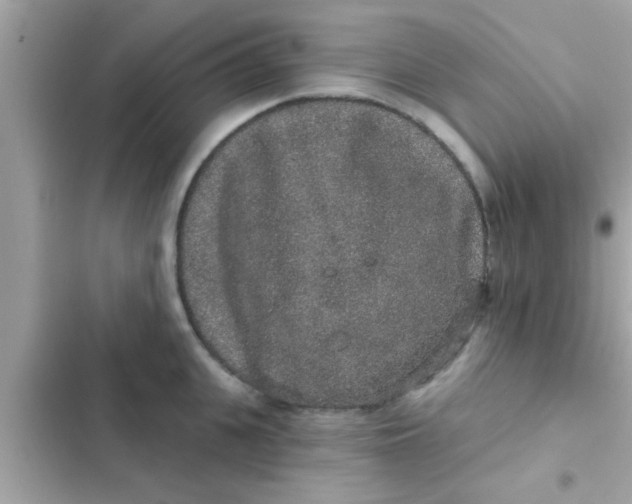 X0000102400951200808151940