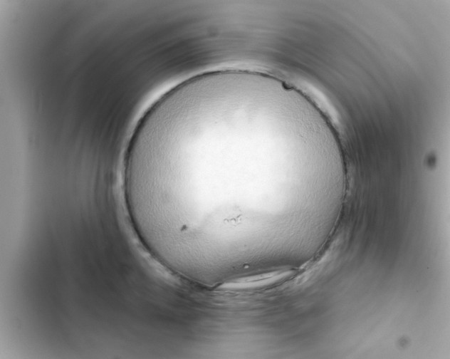 X0000102400952200808151940