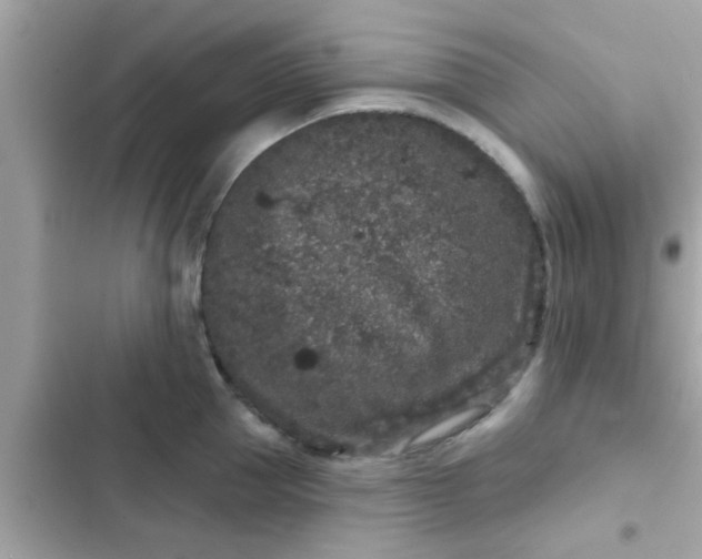 X0000102400953200808151940