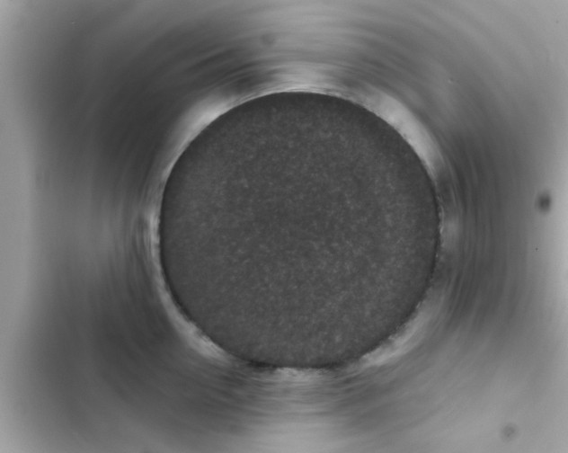 X0000102400954200808151940