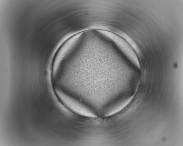 X0000102400955200808151940