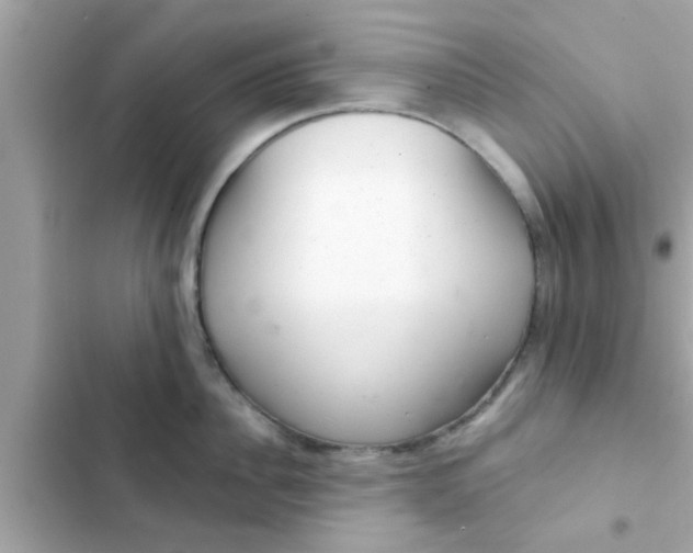 X0000102400956200808151940