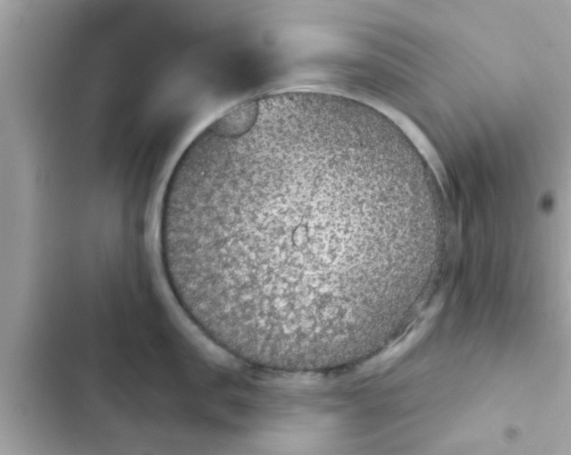 X0000102400957200808151940