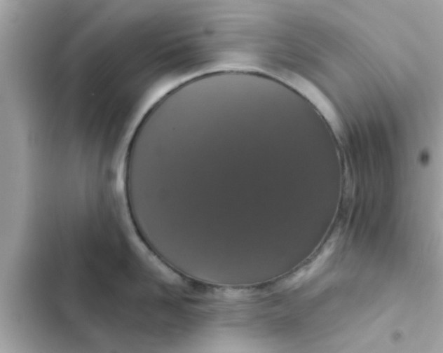 X0000102400958200808151940