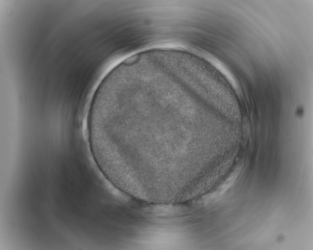 X0000102400959200808151940