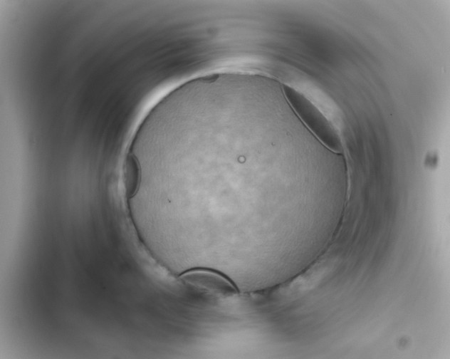 X0000102400960200808151940