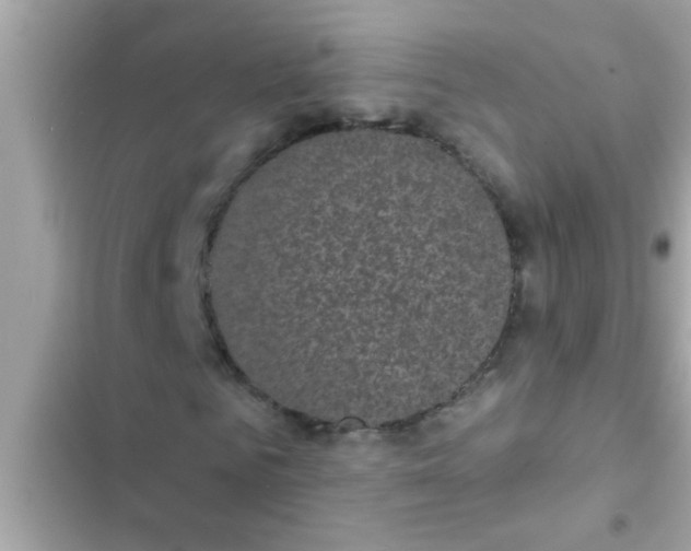 X0000102400961200808151939