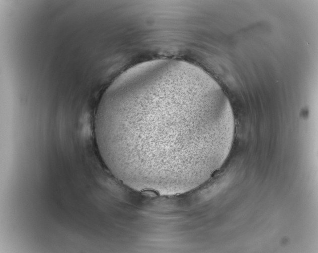 X0000102400962200808151939