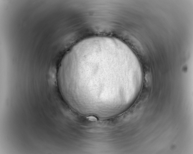 X0000102400963200808151939