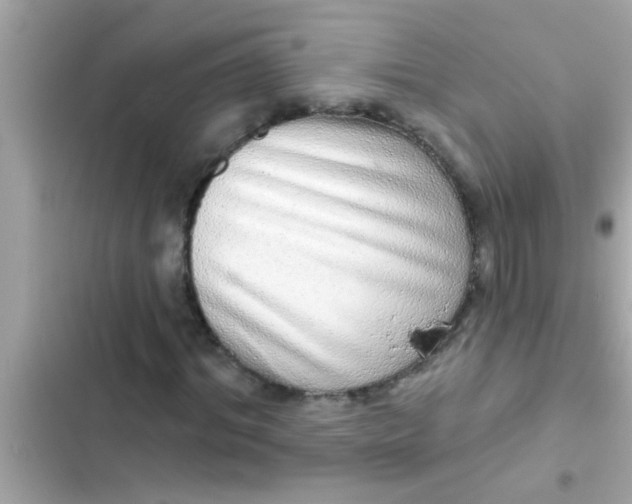 X0000102400964200808151939