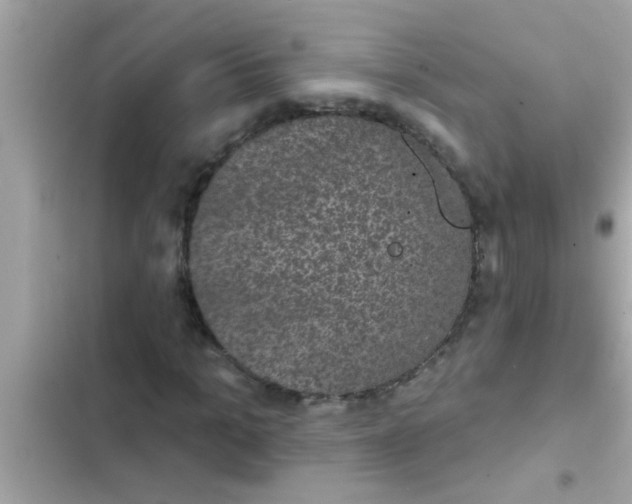 X0000102400965200808151939