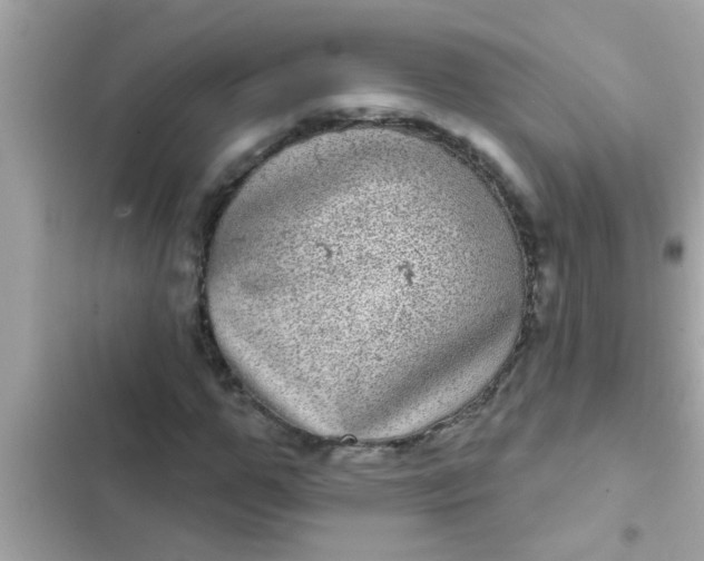 X0000102400967200808151939