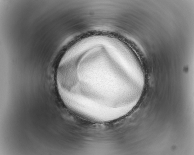 X0000102400968200808151939