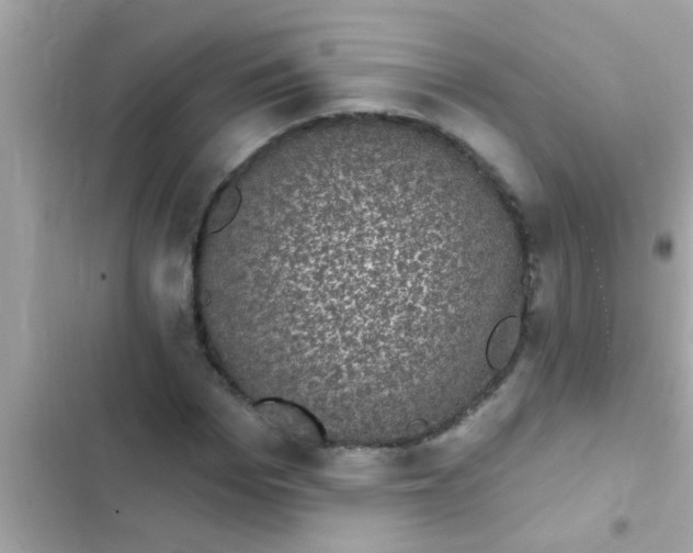 X0000102400969200808151939