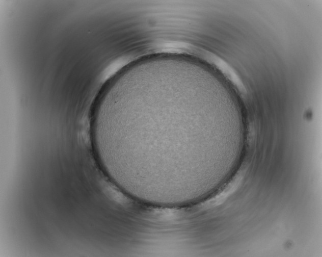 X0000102400970200808151939