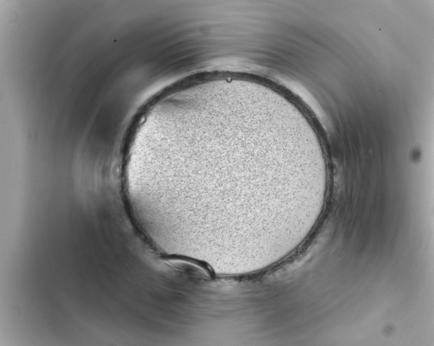 X0000102400971200808151939