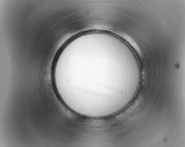 X0000102400972200808151939