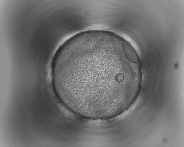 X0000102400973200808151939