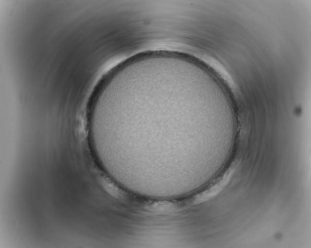 X0000102400974200808151939