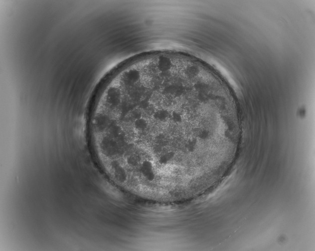 X0000102400975200808151939