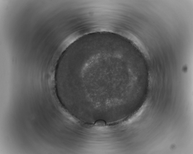 X0000102400977200808151939