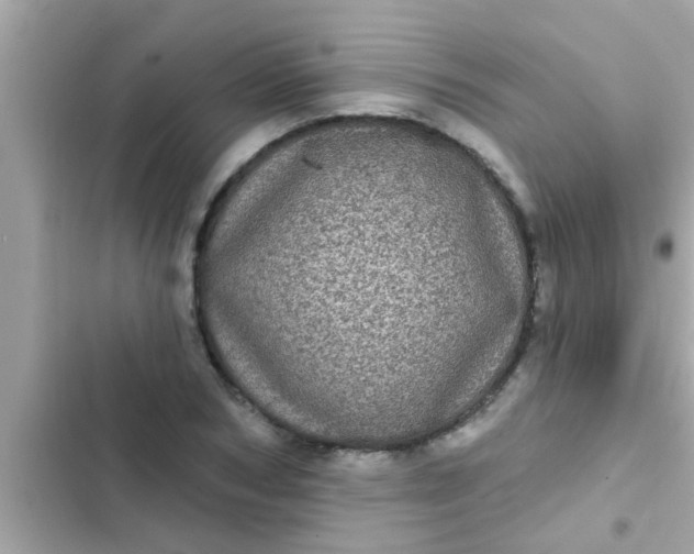 X0000102400978200808151939