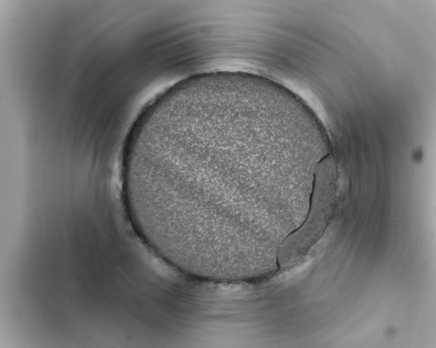 X0000102400979200808151939