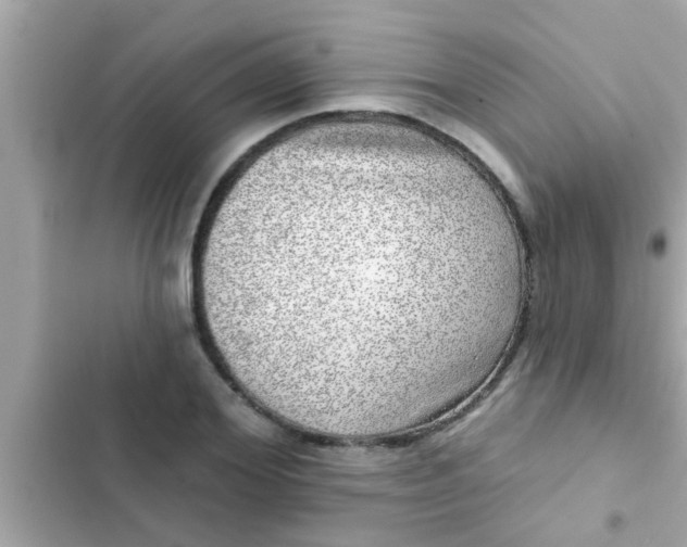 X0000102400980200808151939