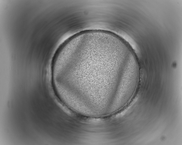 X0000102400982200808151939