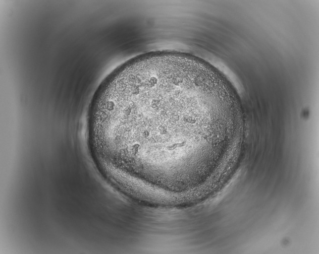 X0000102400983200808151939