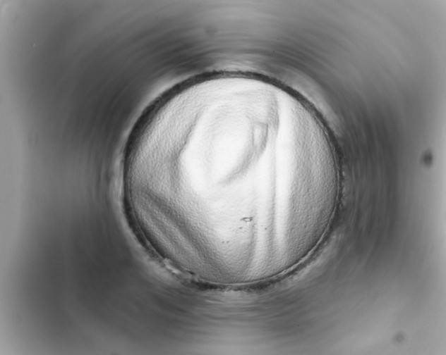 X0000102400984200808151939