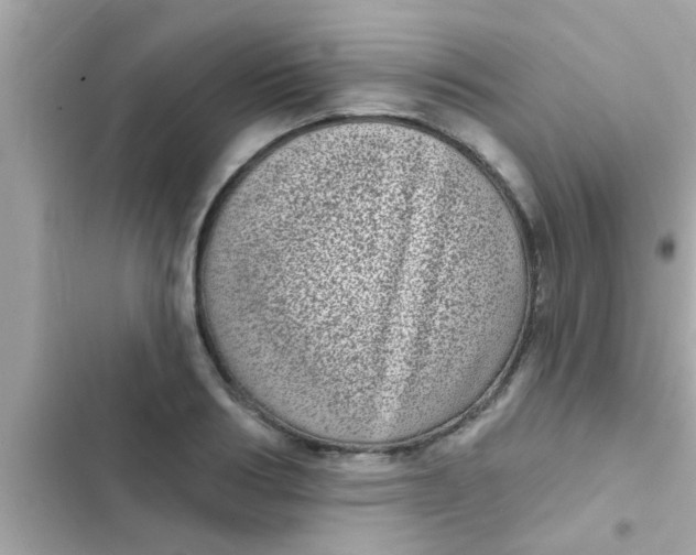 X0000102400986200808151939